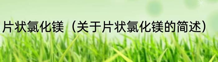 片状氯化镁（关于片状氯化镁的简述）