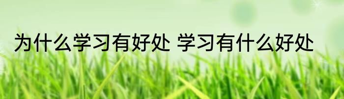 为什么学习有好处 学习有什么好处