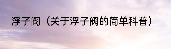 浮子阀（关于浮子阀的简单科普）