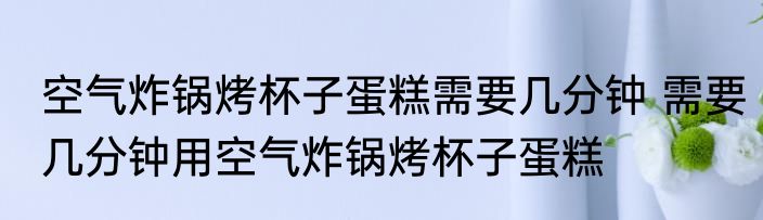 空气炸锅烤杯子蛋糕需要几分钟 需要几分钟用空气炸锅烤杯子蛋糕