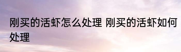 刚买的活虾怎么处理 刚买的活虾如何处理