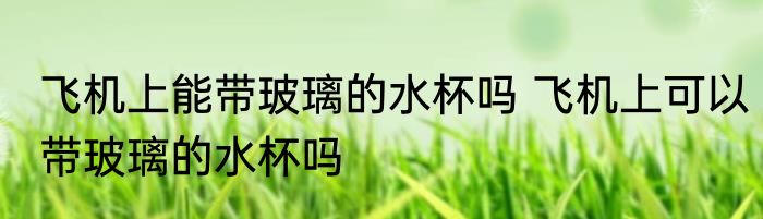 飞机上能带玻璃的水杯吗 飞机上可以带玻璃的水杯吗