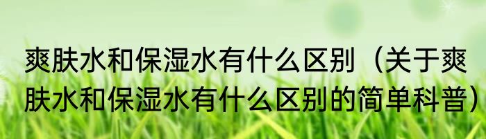 爽肤水和保湿水有什么区别（关于爽肤水和保湿水有什么区别的简单科普）