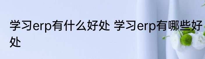学习erp有什么好处 学习erp有哪些好处