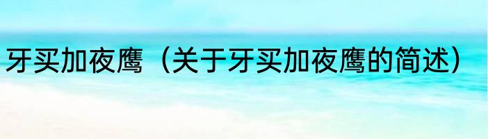 牙买加夜鹰（关于牙买加夜鹰的简述）