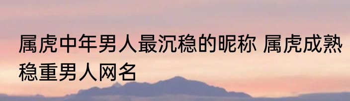 属虎中年男人最沉稳的昵称 属虎成熟稳重男人网名