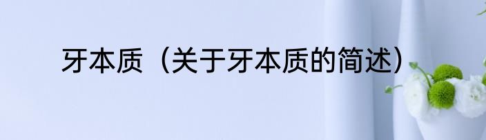 牙本质（关于牙本质的简述）