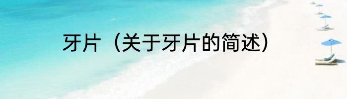 牙片（关于牙片的简述）
