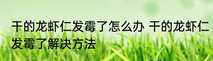 干的龙虾仁发霉了怎么办 干的龙虾仁发霉了解决方法