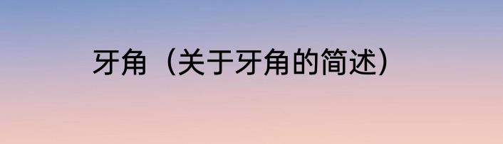牙角（关于牙角的简述）