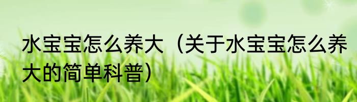 水宝宝怎么养大（关于水宝宝怎么养大的简单科普）