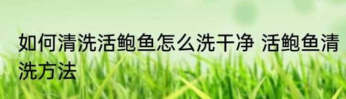 如何清洗活鲍鱼怎么洗干净 活鲍鱼清洗方法
