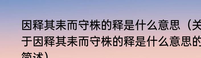 因释其耒而守株的释是什么意思（关于因释其耒而守株的释是什么意思的简述）