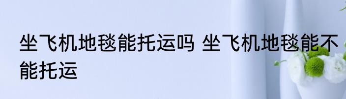坐飞机地毯能托运吗 坐飞机地毯能不能托运