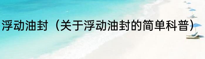 浮动油封（关于浮动油封的简单科普）