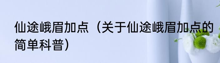 仙途峨眉加点（关于仙途峨眉加点的简单科普）