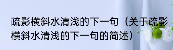 疏影横斜水清浅的下一句（关于疏影横斜水清浅的下一句的简述）