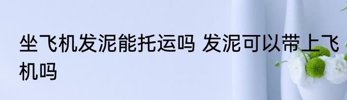 坐飞机发泥能托运吗 发泥可以带上飞机吗
