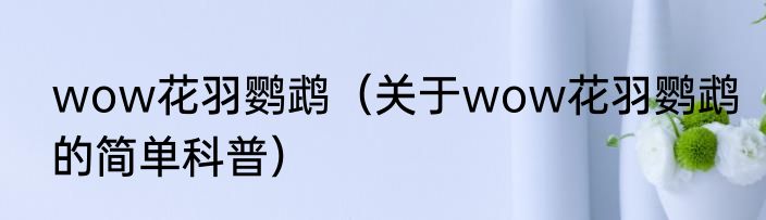 wow花羽鹦鹉（关于wow花羽鹦鹉的简单科普）