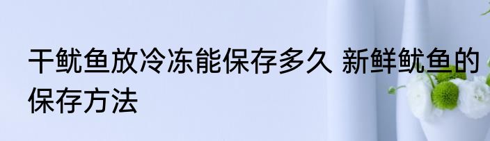干鱿鱼放冷冻能保存多久 新鲜鱿鱼的保存方法