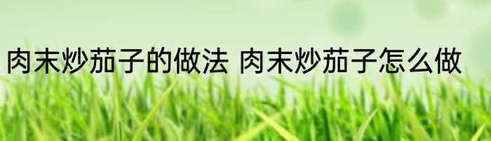 肉末炒茄子的做法 肉末炒茄子怎么做