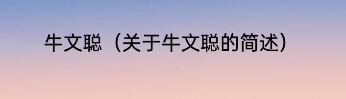 牛文聪（关于牛文聪的简述）