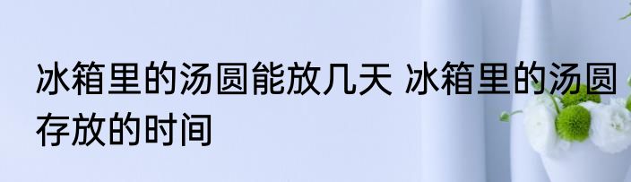 冰箱里的汤圆能放几天 冰箱里的汤圆存放的时间