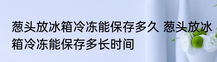 葱头放冰箱冷冻能保存多久 葱头放冰箱冷冻能保存多长时间
