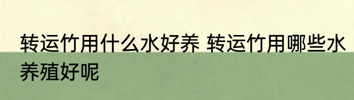 转运竹用什么水好养 转运竹用哪些水养殖好呢