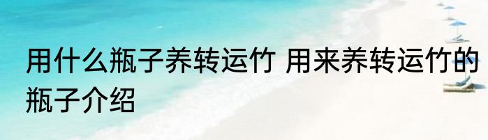 用什么瓶子养转运竹 用来养转运竹的瓶子介绍