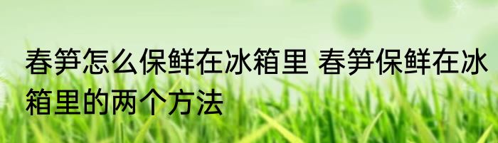 春笋怎么保鲜在冰箱里 春笋保鲜在冰箱里的两个方法