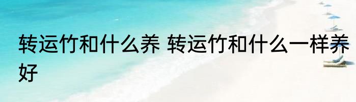 转运竹和什么养 转运竹和什么一样养好