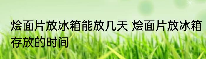 烩面片放冰箱能放几天 烩面片放冰箱存放的时间