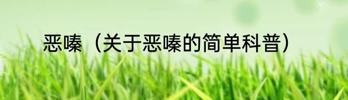 恶嗪（关于恶嗪的简单科普）
