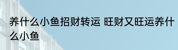 养什么小鱼招财转运 旺财又旺运养什么小鱼