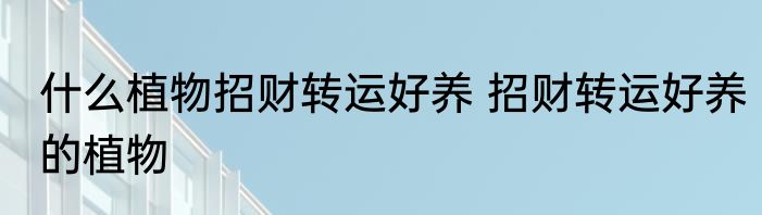 什么植物招财转运好养 招财转运好养的植物