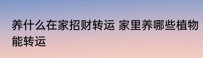养什么在家招财转运 家里养哪些植物能转运