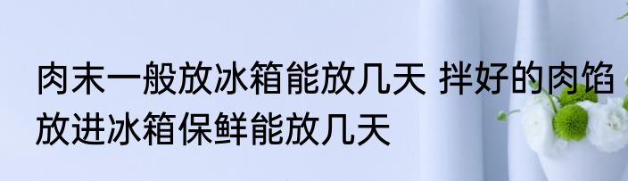 肉末一般放冰箱能放几天 拌好的肉馅放进冰箱保鲜能放几天