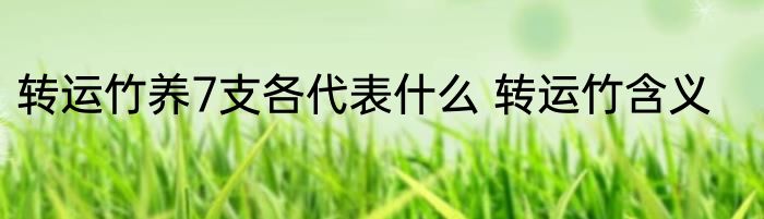 转运竹养7支各代表什么 转运竹含义