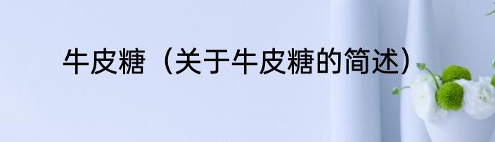 牛皮糖（关于牛皮糖的简述）