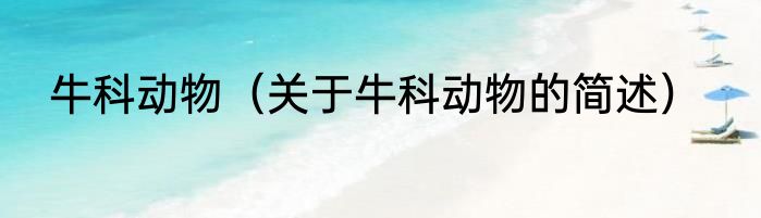 牛科动物（关于牛科动物的简述）
