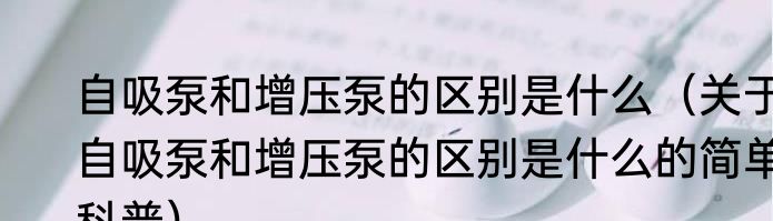 牛碧菜（关于牛碧菜的简述）