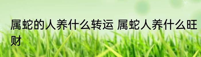 属蛇的人养什么转运 属蛇人养什么旺财