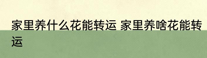家里养什么花能转运 家里养啥花能转运