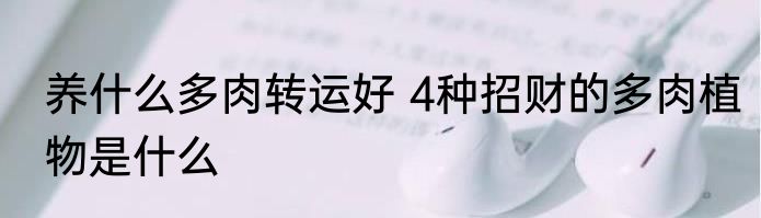 养什么多肉转运好 4种招财的多肉植物是什么