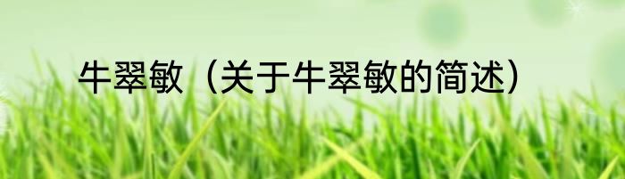 牛翠敏（关于牛翠敏的简述）