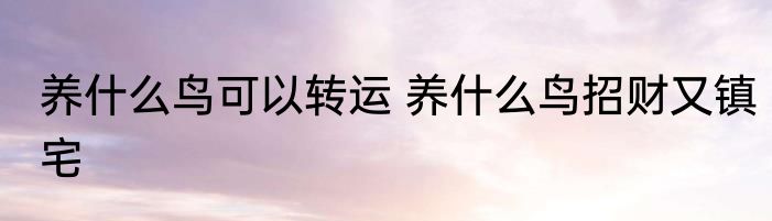 养什么鸟可以转运 养什么鸟招财又镇宅