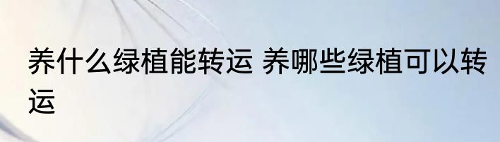 养什么绿植能转运 养哪些绿植可以转运