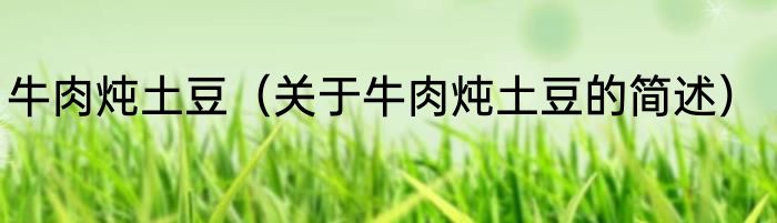 牛肉炖土豆（关于牛肉炖土豆的简述）