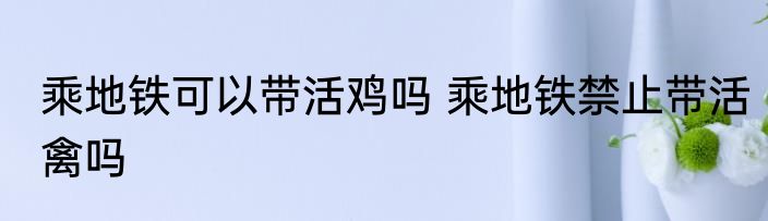 乘地铁可以带活鸡吗 乘地铁禁止带活禽吗